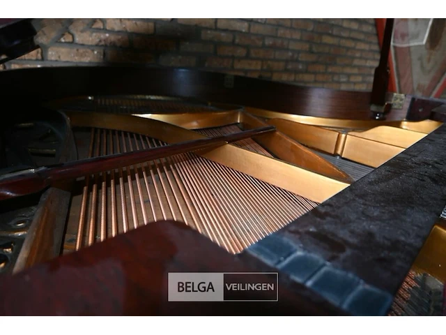 Vleugelpiano - afbeelding 6 van  7
