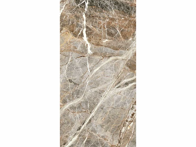 Vloertegel 103,68m2 xxl mountain peak glanzend 80x180cm gerectificeerd - afbeelding 21 van  24