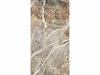 Vloertegel 103,68m2 xxl mountain peak glanzend 80x180cm gerectificeerd - afbeelding 21 van  24