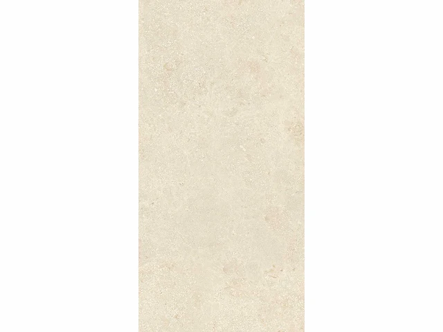 Vloertegel 129,6m2 montpellier 60x120cm gerectificeerd - afbeelding 2 van  10