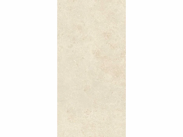 Vloertegel 129,6m2 montpellier 60x120cm gerectificeerd - afbeelding 3 van  10