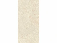 Vloertegel 129,6m2 montpellier 60x120cm gerectificeerd - afbeelding 3 van  10