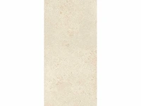 Vloertegel 129,6m2 montpellier 60x120cm gerectificeerd - afbeelding 7 van  10