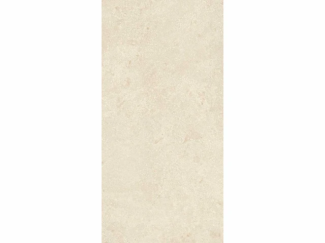 Vloertegel 129,6m2 montpellier 60x120cm gerectificeerd - afbeelding 9 van  10