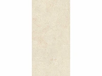 Vloertegel 129,6m2 montpellier 60x120cm gerectificeerd - afbeelding 10 van  10