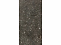 Vloertegel 145,92m2 blauwe steen desire 40x80cm gerectificeerd - afbeelding 6 van  10