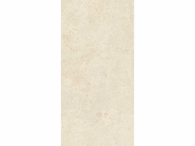 Vloertegel 146,88m2 montpellier 60x120cm gerectificeerd - afbeelding 10 van  10