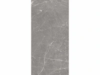 Vloertegel 15,12m2 techstone marmer grijs glanzend 60x120cm gerectificeerd - afbeelding 4 van  8