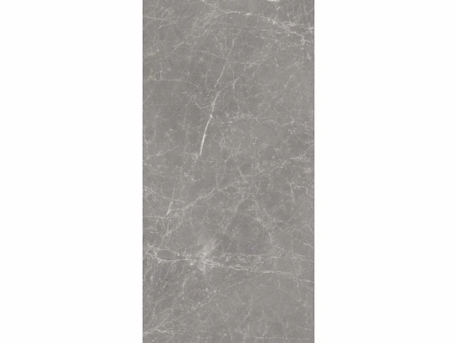 Vloertegel 15,12m2 techstone marmer grijs glanzend 60x120cm gerectificeerd - afbeelding 5 van  8