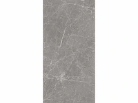 Vloertegel 15,12m2 techstone marmer grijs glanzend 60x120cm gerectificeerd - afbeelding 5 van  8