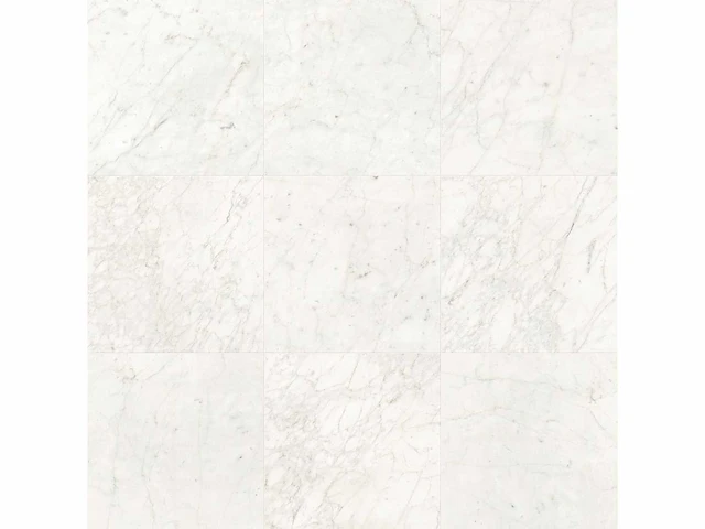 Vloertegel 172,8m2 marmer wit glanzend 60x120cm gerectificeerd - afbeelding 2 van  6