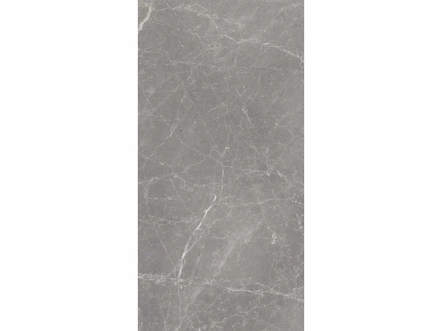 Vloertegel 18m2 techstone marmer grijs glanzend 60x120cm gerectificeerd - afbeelding 3 van  8