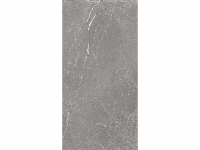 Vloertegel 18m2 techstone marmer grijs glanzend 60x120cm gerectificeerd - afbeelding 6 van  8