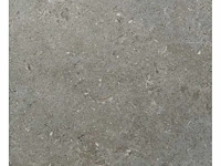 Vloertegel 38,62m2 beren coal 60x60cm - afbeelding 1 van  3