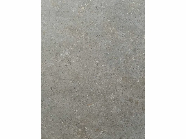 Vloertegel 38,62m2 beren coal 60x60cm - afbeelding 2 van  3