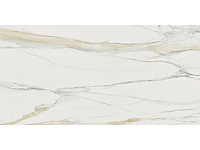 Vloertegel 43,2m² calacatta gold mat 60x120cm rectified - afbeelding 3 van  7
