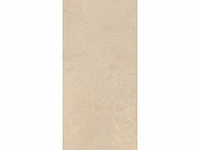 Vloertegel 43,2m2 dordogne 60x120cm gerectificeerd - afbeelding 6 van  9