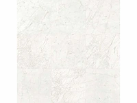 Vloertegel 43,2m2 marmer wit glanzend 60x120cm gerectificeerd - afbeelding 2 van  6