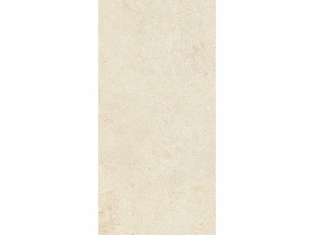 Vloertegel 43,2m2 montpellier 60x120cm gerectificeerd - afbeelding 5 van  10
