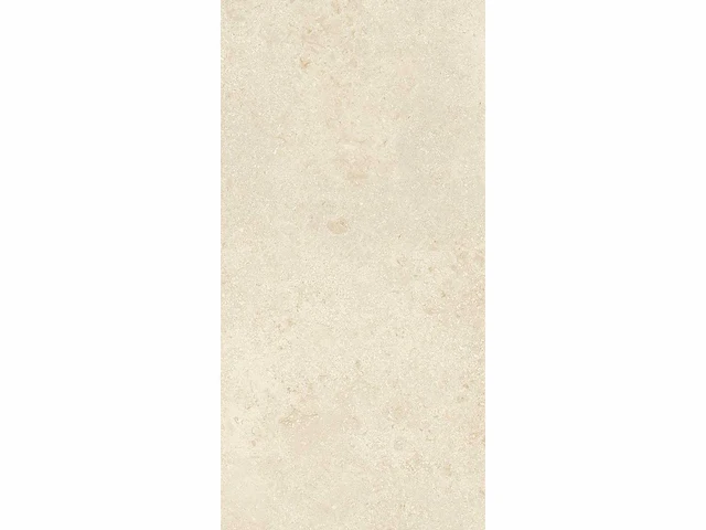 Vloertegel 43,2m2 montpellier 60x120cm gerectificeerd - afbeelding 7 van  10