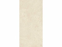 Vloertegel 43,2m2 montpellier 60x120cm gerectificeerd - afbeelding 9 van  10