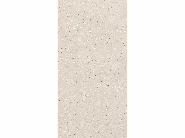 Vloertegel 43,2m2 sneeuwvlokken mat 60x120cm gerectificeerd - afbeelding 2 van  10