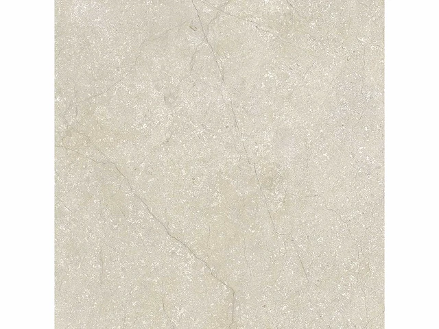 Vloertegel 51,84m2 schaal 60x60cm gerectificeerd - afbeelding 2 van  8