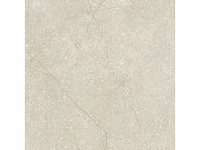 Vloertegel 51,84m2 schaal 60x60cm gerectificeerd - afbeelding 2 van  8