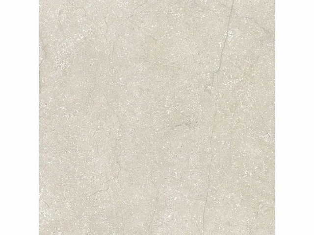 Vloertegel 51,84m2 schaal 60x60cm gerectificeerd - afbeelding 3 van  8