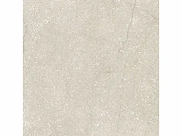 Vloertegel 51,84m2 schaal 60x60cm gerectificeerd - afbeelding 3 van  8