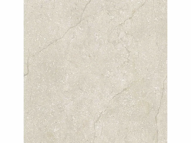Vloertegel 51,84m2 schaal 60x60cm gerectificeerd - afbeelding 4 van  8