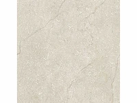 Vloertegel 51,84m2 schaal 60x60cm gerectificeerd - afbeelding 4 van  8
