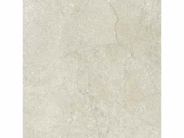 Vloertegel 51,84m2 schaal 60x60cm gerectificeerd - afbeelding 5 van  8