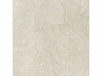 Vloertegel 51,84m2 schaal 60x60cm gerectificeerd - afbeelding 5 van  8