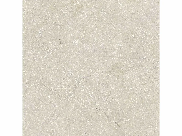 Vloertegel 51,84m2 schaal 60x60cm gerectificeerd - afbeelding 6 van  8