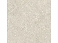 Vloertegel 51,84m2 schaal 60x60cm gerectificeerd - afbeelding 6 van  8