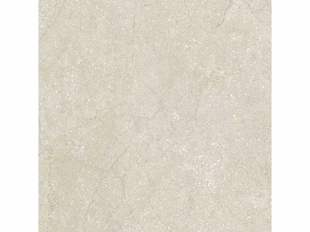 Vloertegel 51,84m2 schaal 60x60cm gerectificeerd - afbeelding 7 van  8