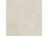 Vloertegel 51,84m2 schaal 60x60cm gerectificeerd - afbeelding 7 van  8