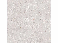 Vloertegel 53,28m2 ciottoli grigio 60x60cm gerectificeerd - afbeelding 3 van  3