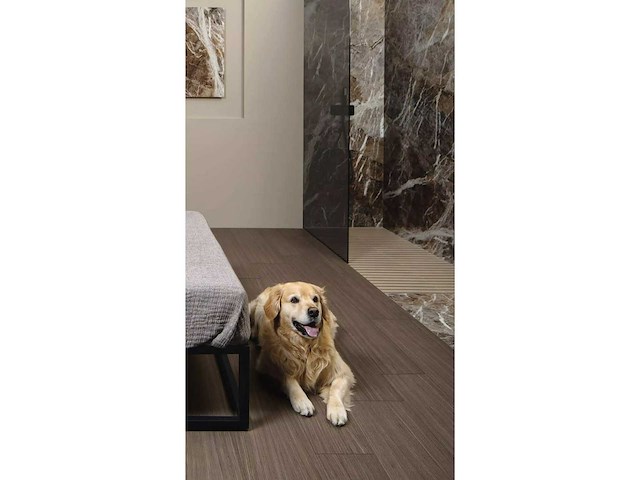 Vloertegel 57,6m2 xxl mountain peak glanzend 80x180cm gerectificeerd - afbeelding 25 van  43