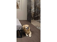 Vloertegel 57,6m2 xxl mountain peak glanzend 80x180cm gerectificeerd - afbeelding 25 van  43