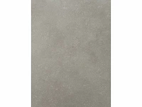 Vloertegel 68,14m2 living gris 45x45cm - afbeelding 2 van  3