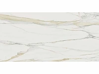 Vloertegel 86,4m2 calacatta gold mat 60x120cm gerectificeerd - afbeelding 3 van  7