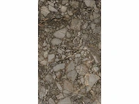Vloertegel riverstone glanzend 60x120cm gerectificeerd, 43.2m2 - afbeelding 9 van  12