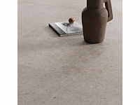 Vloertegels voor binnen ceramisch 80x80 anima beige totaal 96m2 - afbeelding 2 van  6