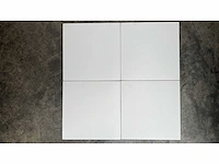 Vloer/wand tegel hidraulica blanco 25x25 67m2 - afbeelding 1 van  1