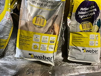 Voegsel weber 1 pal - afbeelding 8 van  8