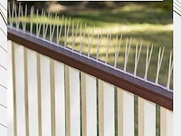 Vogelspikes doorzichtig polycarbonaat tot 4,9m - afbeelding 4 van  4