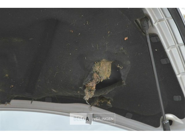 Volkswagen beetle cabrio - afbeelding 21 van  23