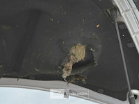 Volkswagen beetle cabrio - afbeelding 21 van  23